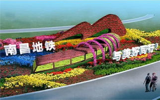 花博園內百萬菊花爭奇斗艷 你最想pick哪一個