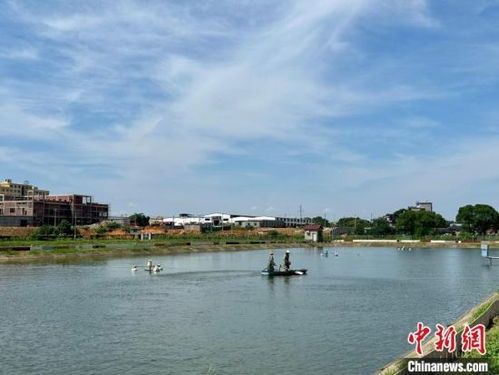 一村一名大學(xué)生 江西南昌引人才 活水 助農(nóng)業(yè)增效農(nóng)民增收