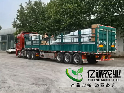 溫室大棚制造廠家施工現(xiàn)場案例-溫室工程出口圖片_青州市億誠農(nóng)業(yè)科技